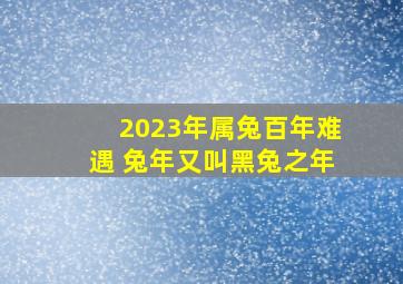 2023年属兔百年难遇 兔年又叫黑兔之年